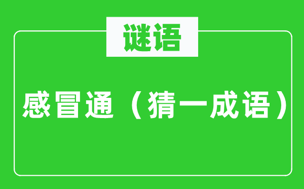 谜语：感冒通（猜一针言）