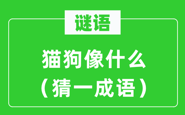谜语：猫狗像甚么（猜一针言）