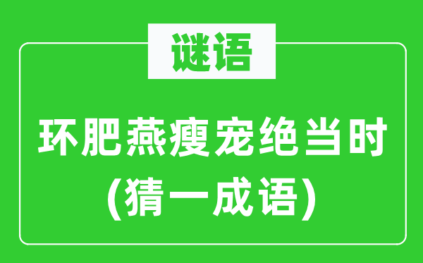 谜语：环肥燕瘦宠绝那时(猜一针言)