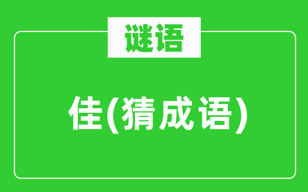 谜语：佳(猜针言)