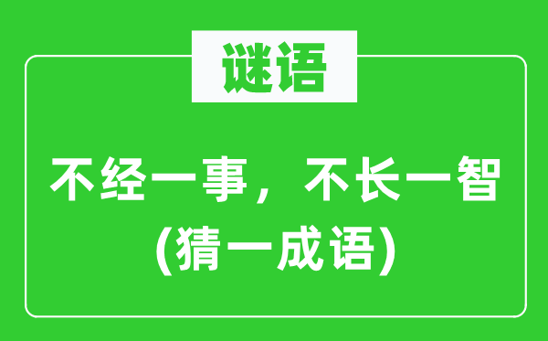 谜语：不经一事，不长一智(猜一针言)