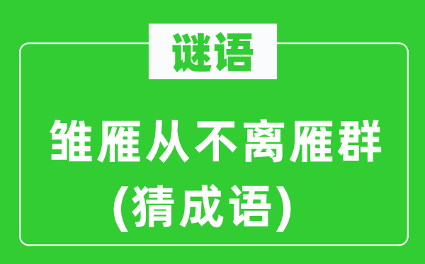 谜语:雏雁从不离雁群(猜针言)
