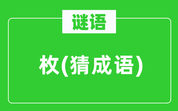 谜语：枚(猜针言)