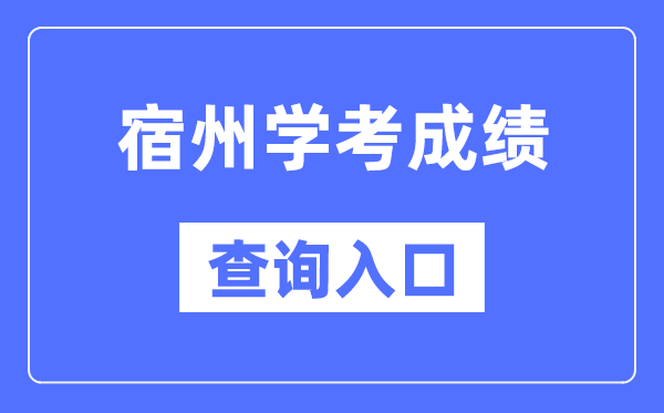 宿州学考绩绩查问进口网站（//cx.ahzsks.cn）