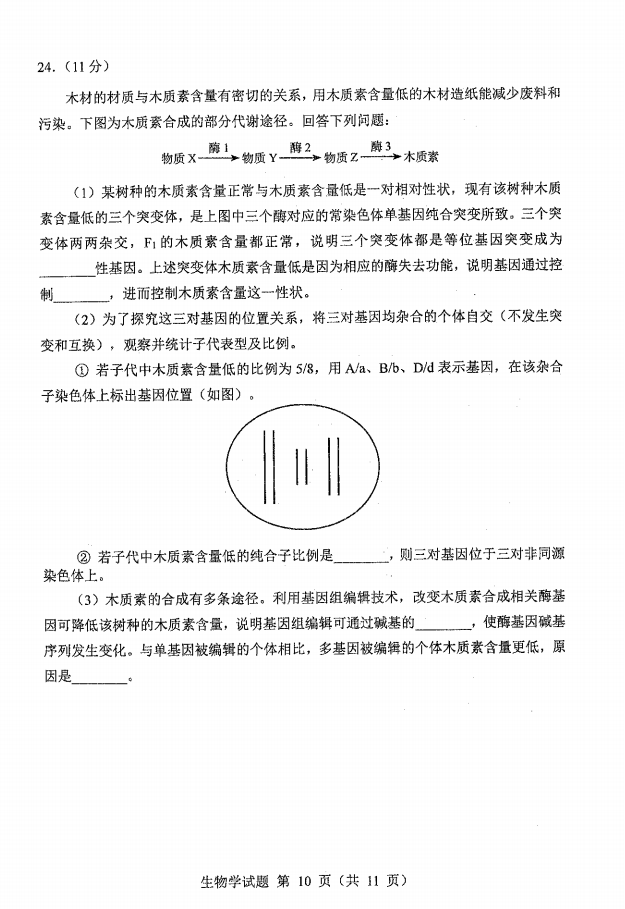 新高考2024七省联考生物试卷及谜底剖析