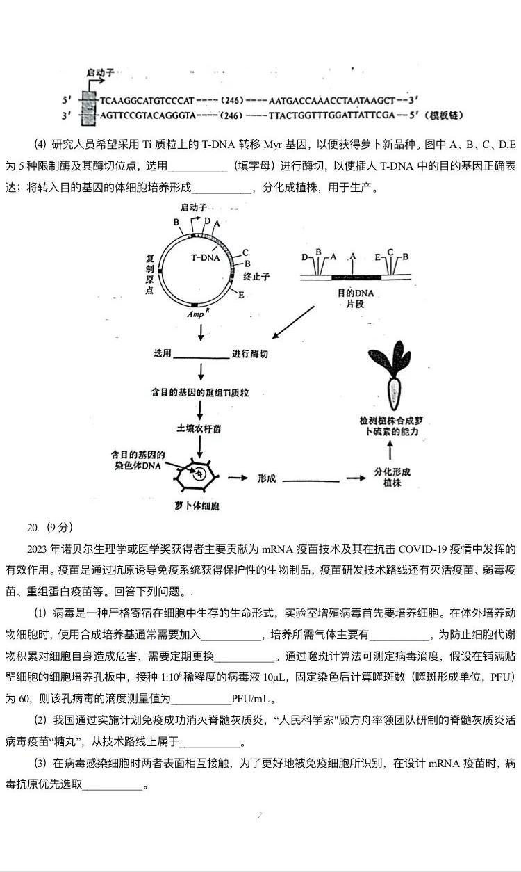 新高考2024七省联考生物试卷及谜底剖析