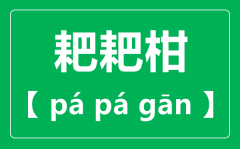 耙耙柑怎样读_耙耙柑念pa仍是