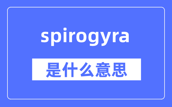spirogyra是甚么意义,spirogyra怎样读,中文翻译是甚么