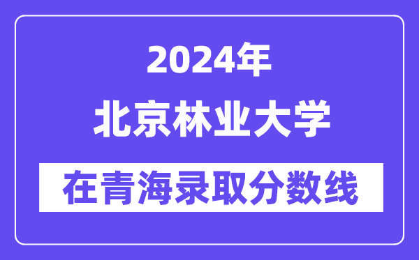 北京林业大学2024年在青海登科分数线一览表(2025年参考)