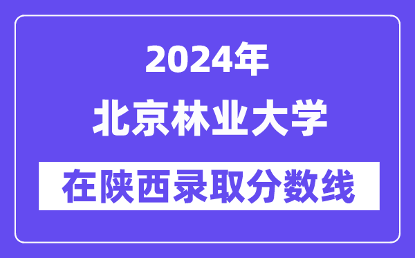 北京林业大学2024年在陕西登科分数线一览表（2025年参考）