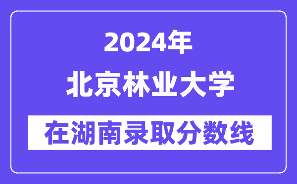 北京林业大学2024年在湖南登科分数线一览表（2025年参考）