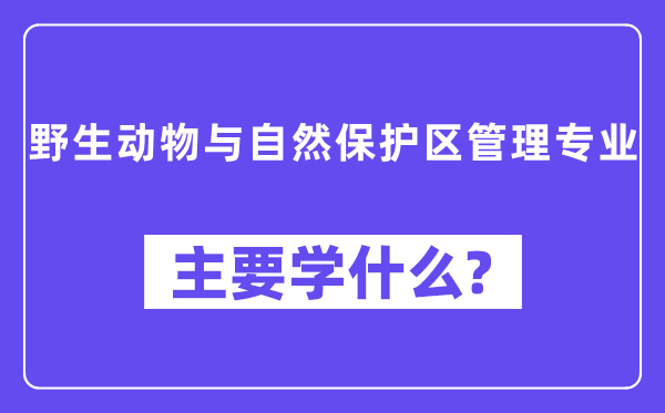 野活泼物与天然掩护区办理专业首要学甚么？附野活泼物与天然掩护区办理专业课程目次