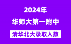 2024年华师一附中考入清华北大人