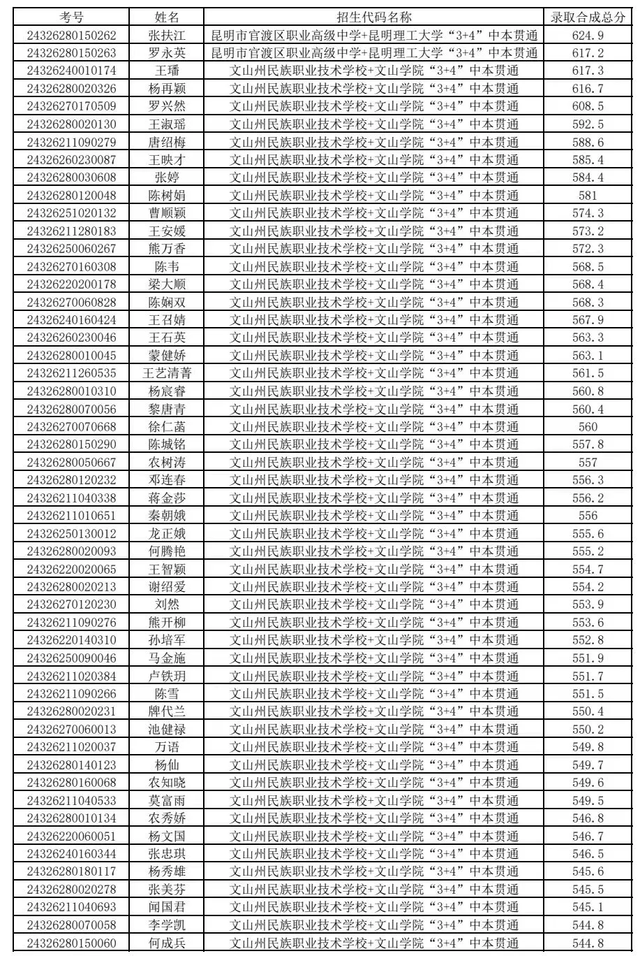 2025年文山中考各高中登科分数线一览表