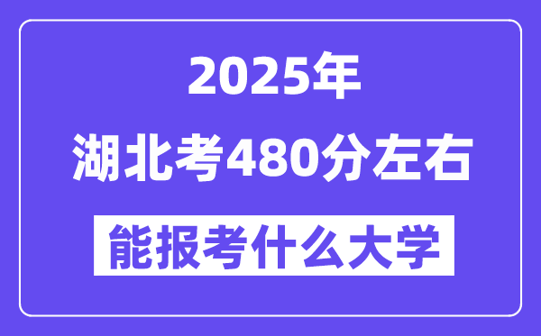 2025年湖北考480分摆布能报考上甚么大学?附位次排名对比表