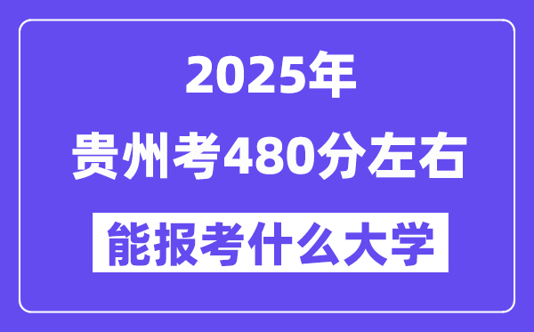 2025年贵州考480分摆布能报考上甚么大学?附位次排名对比表