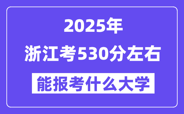 2025年浙江考530分摆布能报考上甚么大学?附位次排名对比表