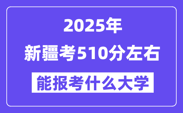 2025年新疆考510分摆布能报考上甚么大学?附位次排名对比表