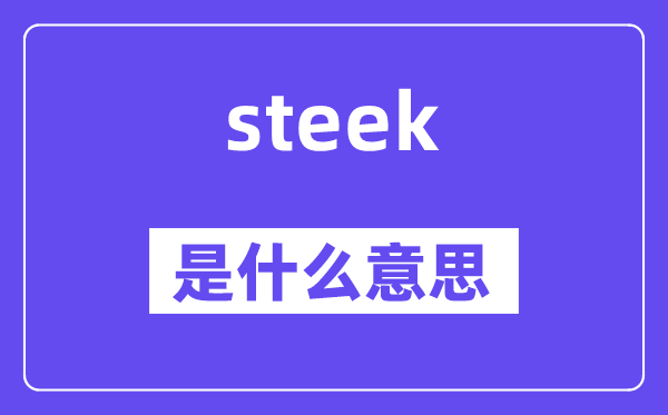 steek是甚么意义,steek怎样读,中文翻译是甚么