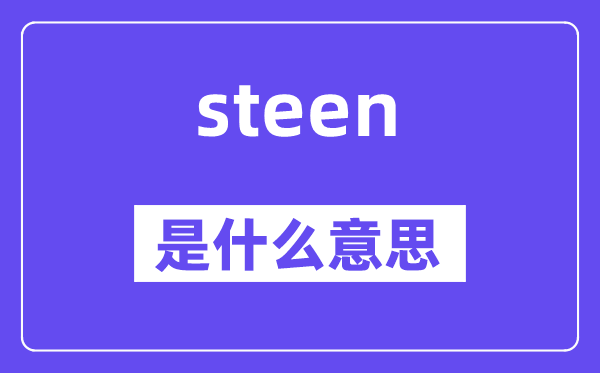 steen是甚么意义,steen怎样读,中文翻译是甚么