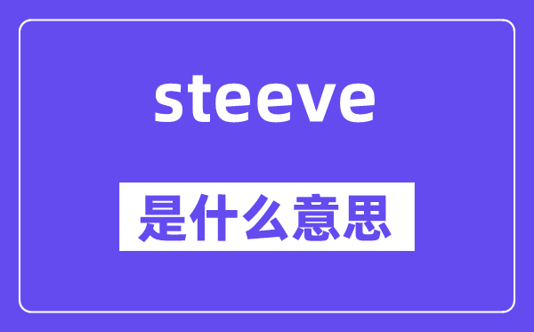 steeve是甚么意义,steeve怎样读,中文翻译是甚么