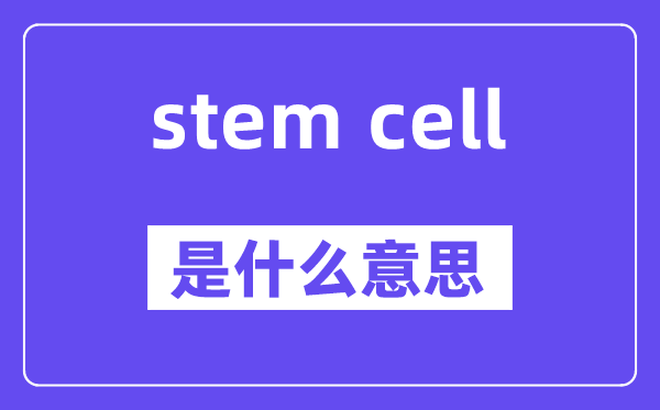 stem cell是甚么意义,中文翻译是甚么