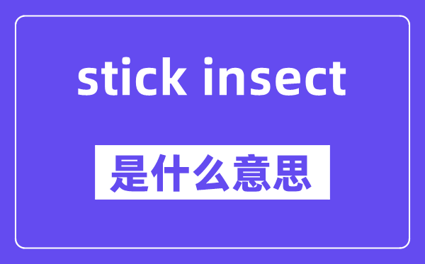 stick insect是甚么意义,中文翻译是甚么