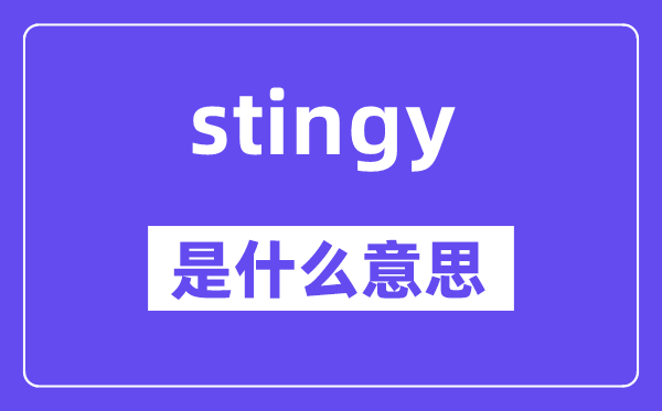stingy是甚么意义,stingy怎样读,中文翻译是甚么