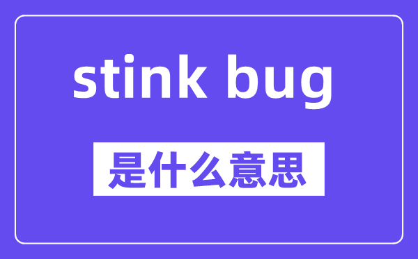 stink bug是甚么意义,中文翻译是甚么
