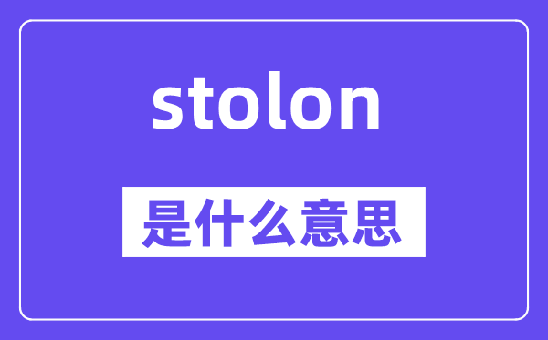 stolon是甚么意义,stolon怎样读,中文翻译是甚么