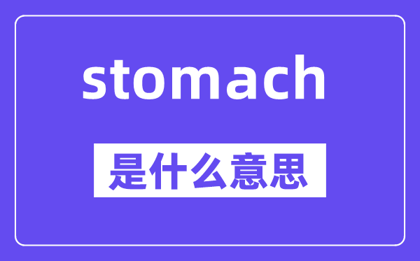 stomach是甚么意义,stomach怎样读,中文翻译是甚么