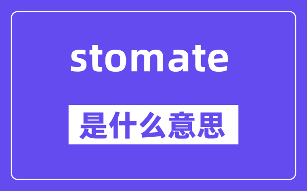 stomate是甚么意义,stomate怎样读,中文翻译是甚么