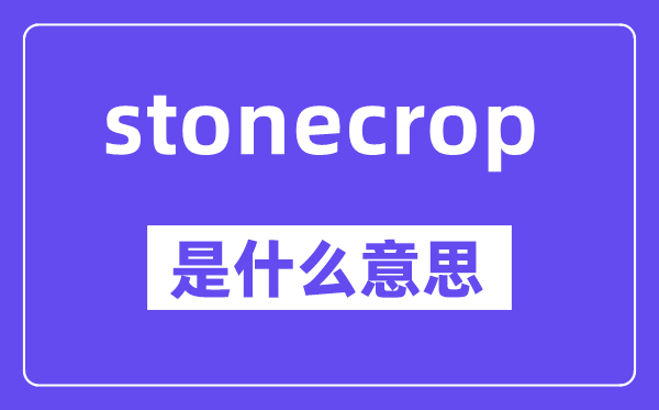 stonecrop是甚么意义,中文翻译是甚么
