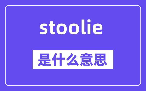stoolie是甚么意义,stoolie怎样读,中文翻译是甚么
