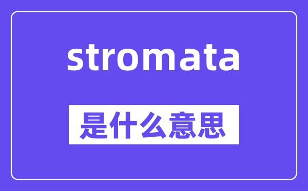 stromata是甚么意义,stromata怎样读,中文翻译是甚么