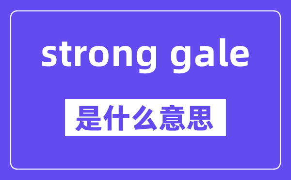 strong gale是甚么意义,中文翻译是甚么