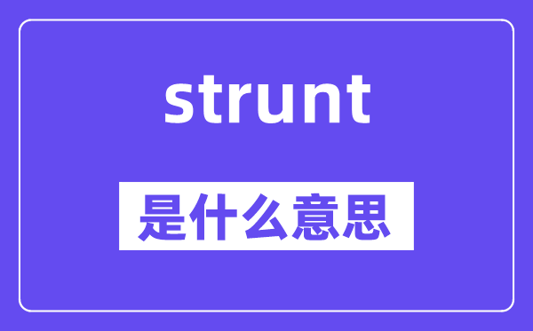 strunt是甚么意义,strunt怎样读,中文翻译是甚么