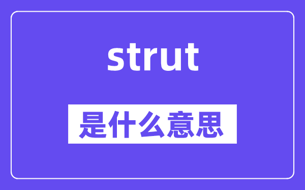 strut是甚么意义,strut怎样读,中文翻译是甚么