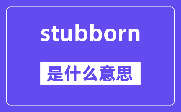stubborn是甚么意义,stubborn怎样读,中文翻译是甚么