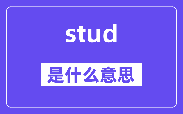 stud是甚么意义,stud怎样读,中文翻译是甚么