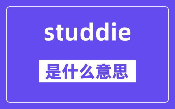 studdie是甚么意义,studdie怎样读,中文翻译是甚么