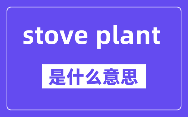 stove plant是甚么意义,中文翻译是甚么