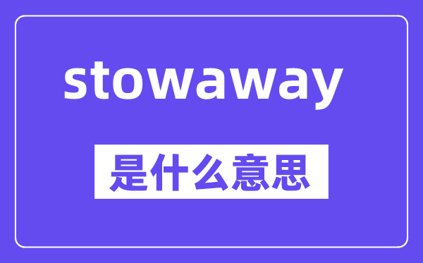 stowaway是甚么意义,中文翻译是甚么