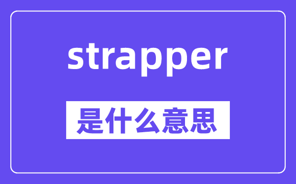strapper是甚么意义,strapper怎样读,中文翻译是甚么