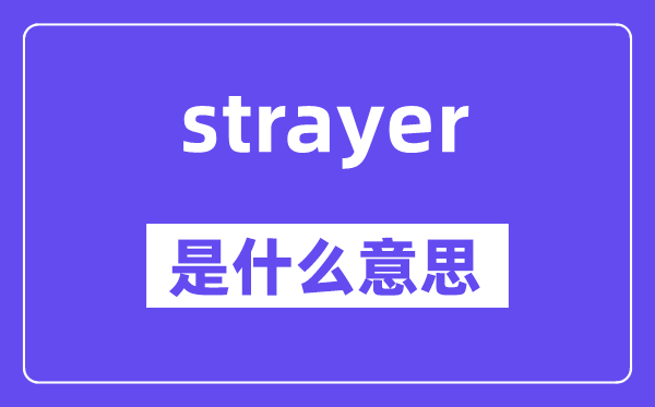 strayer是甚么意义,strayer怎样读,中文翻译是甚么