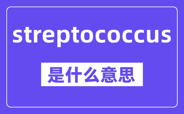 streptococcus是甚么意义,中文翻译是甚么