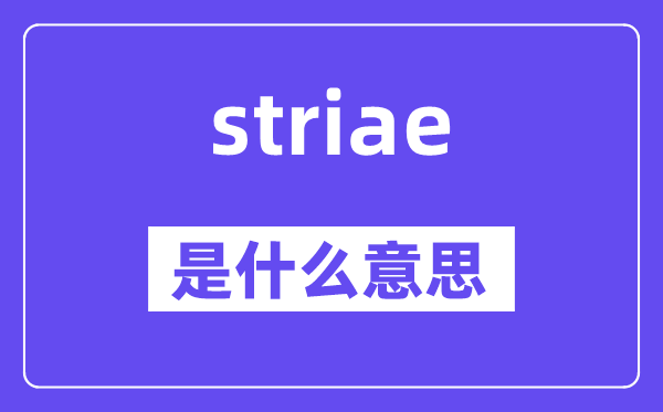 striae是甚么意义,striae怎样读,中文翻译是甚么