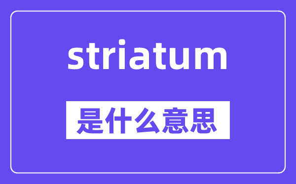 striatum是甚么意义,striatum怎样读,中文翻译是甚么