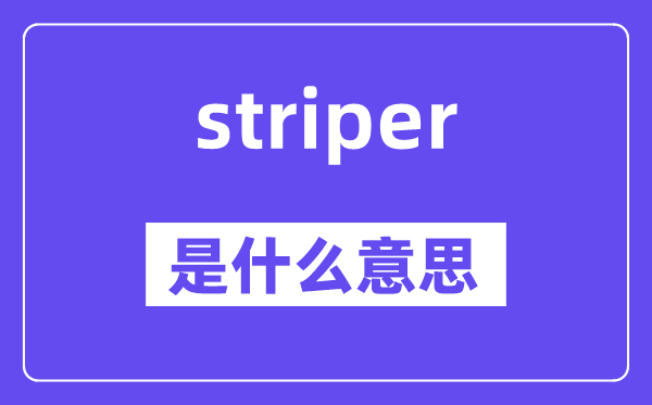 striper是甚么意义,striper怎样读,中文翻译是甚么