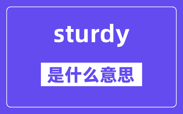 sturdy是甚么意义,sturdy怎样读,中文翻译是甚么